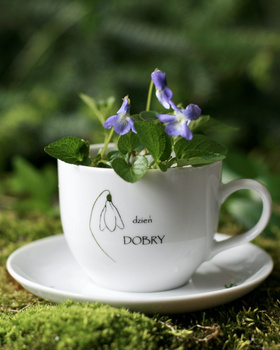 Filiżanka porcelanowa ze spodkiem Przebiśnieg na dobry dzień 180 ml